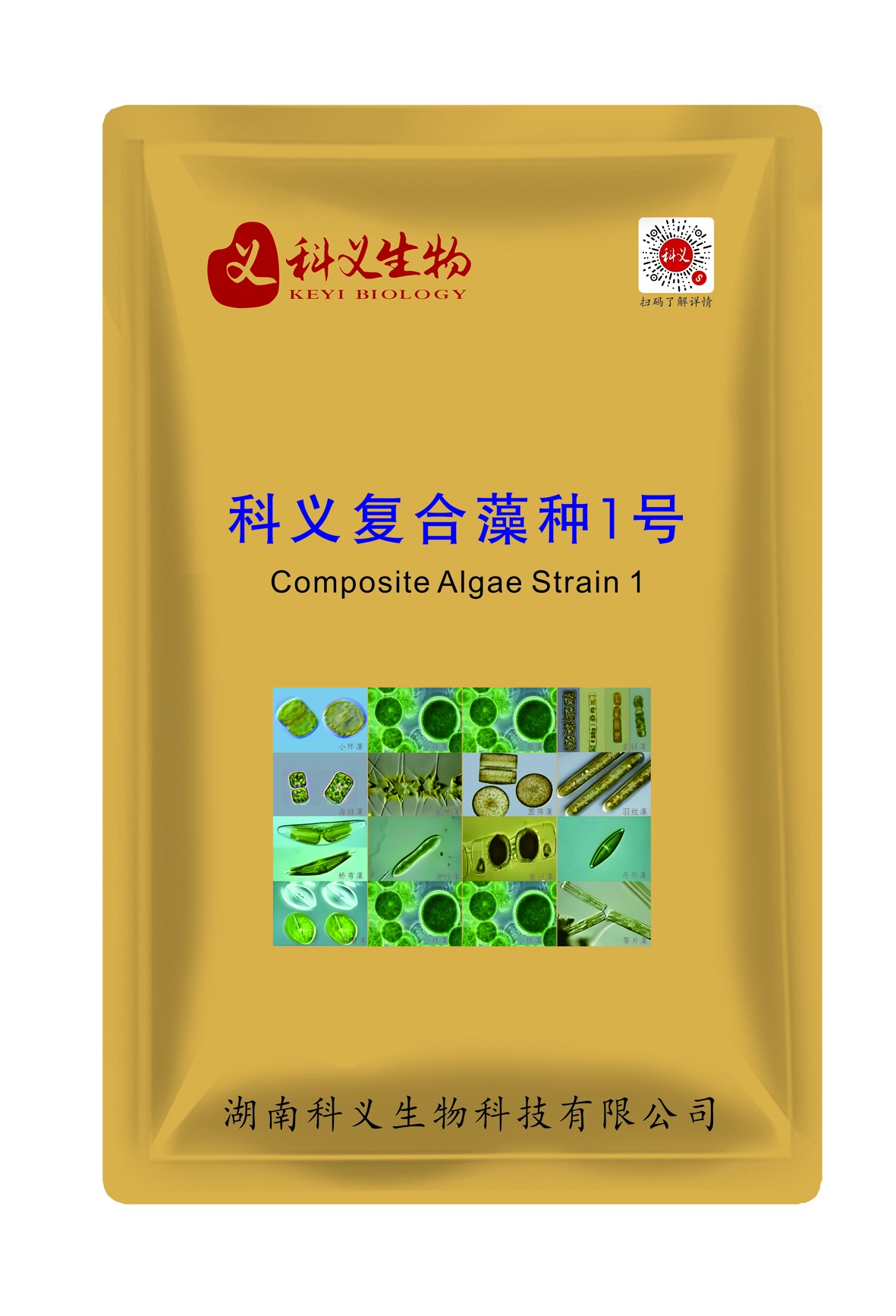 科义复合藻种1号