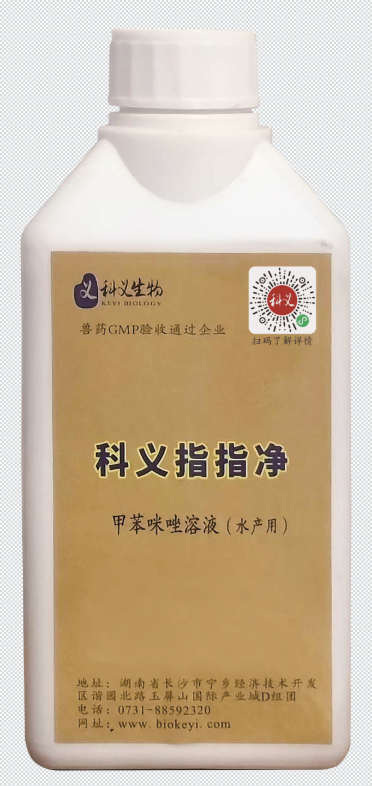 科义指指净